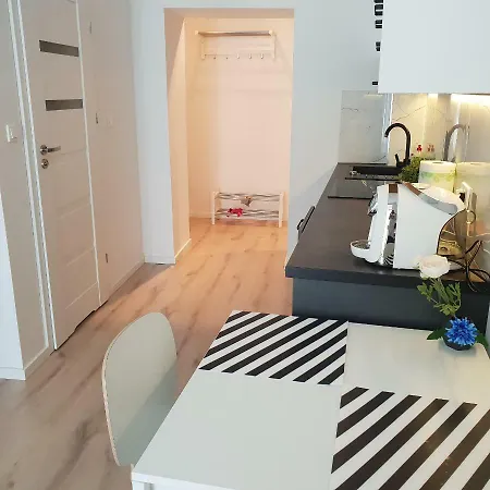 Modern Close To The Center Krakow