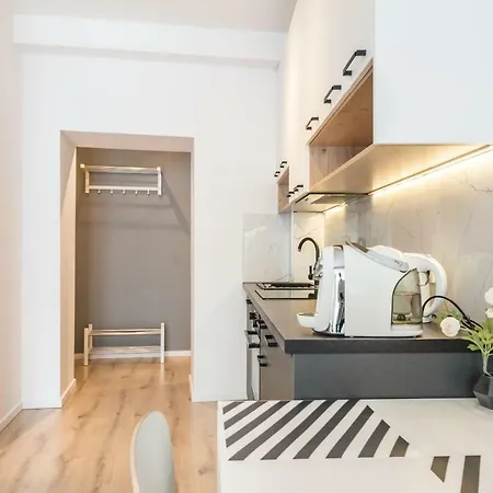 Modern Close To The Center Krakow