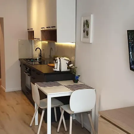 Modern Close To The Center Apartment Krakow